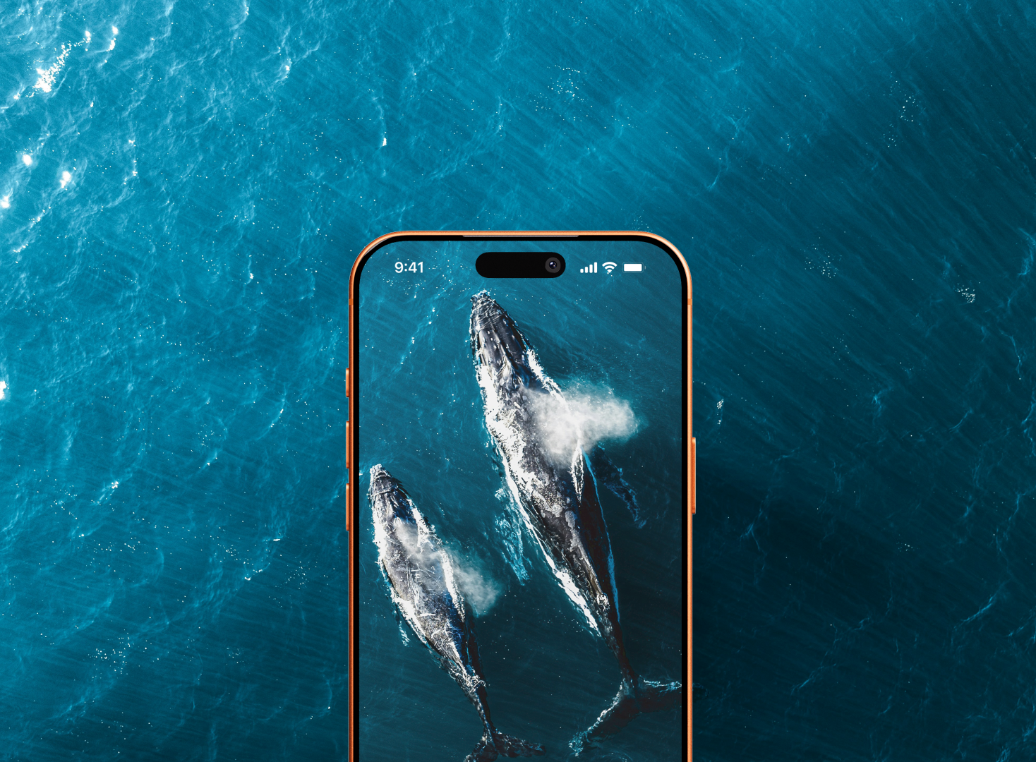 app image example
